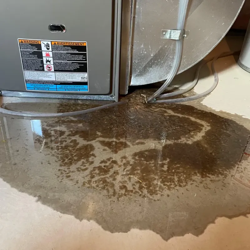 Appliance Leak Cleanup in West Islip, NY